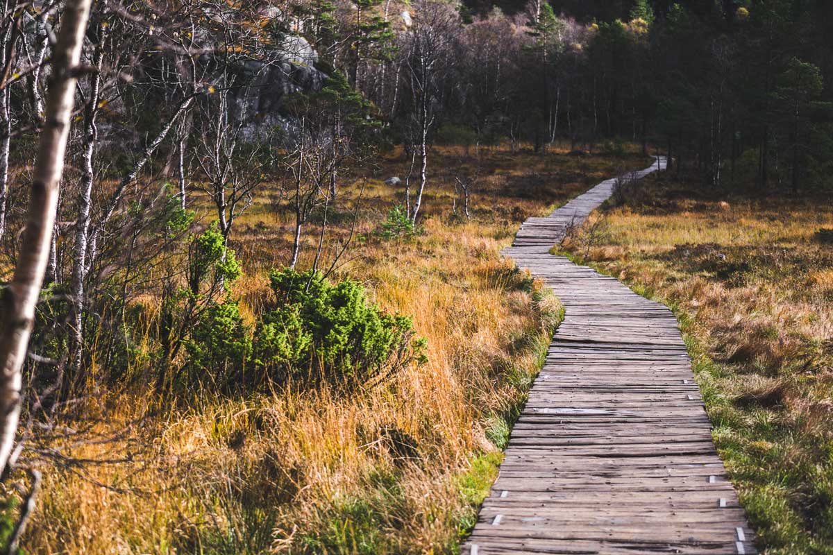 Laufpfad im Nationalpark Norwegen